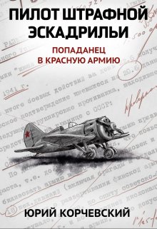 Пилот штрафной эскадрильи (Валерий Атамашкин)