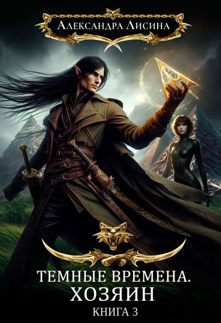 Темные времена-3. Хозяин (Александра Лисина)