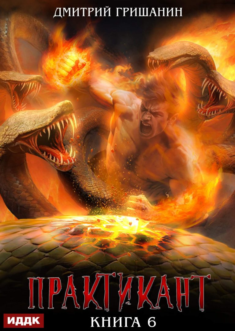 Практикант. Книга 6 (ИДДК)